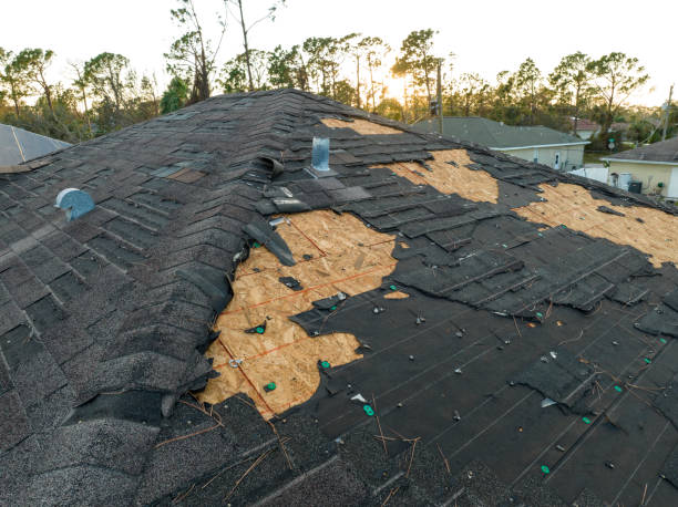 Hot Roofs in Buena Vista, CO